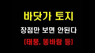 바닷가토지의 단점(장점도 많지만 단점도 알아야 한다)