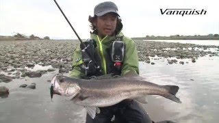スズキ釣り A fierce battle with a big fish, Suzuki, in Osaka Bay using