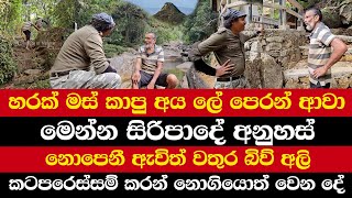 හරක් මස් කාපු අය ලේ පෙරන් ආවා | නොපෙනී ඇවිත් වතුර බිව් අලි | කටපරෙස්සම් කරන් නොගියොත් වෙන දේ