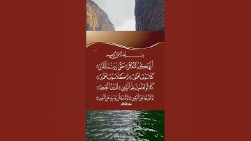 سورة التكاثر بصوت القارئ حسام الدين عبادي #قرآن #quran #راحة_نفسية #relaxing #رقية #قران_كريم