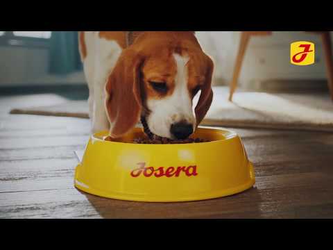 Супер-Преміум корм для собак Josera