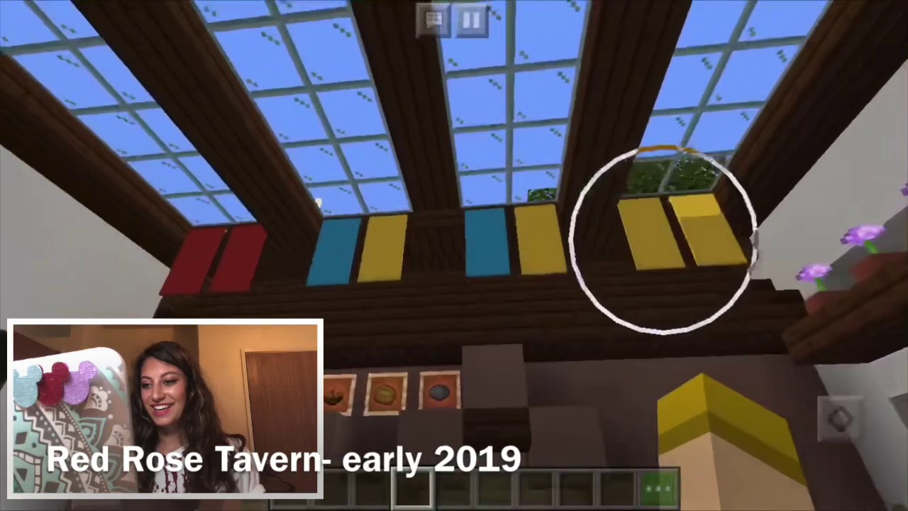 Peter Pan’s Flight Disneyland³