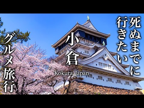 【教えたくない】北九州・小倉飲み歩きグルメ旅が人生最高すぎた【地元民おすすめグルメ・観光・小倉城】