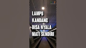 CANGGIH!!! Lampu Kandang Bisa Nyala Mati Sendiri