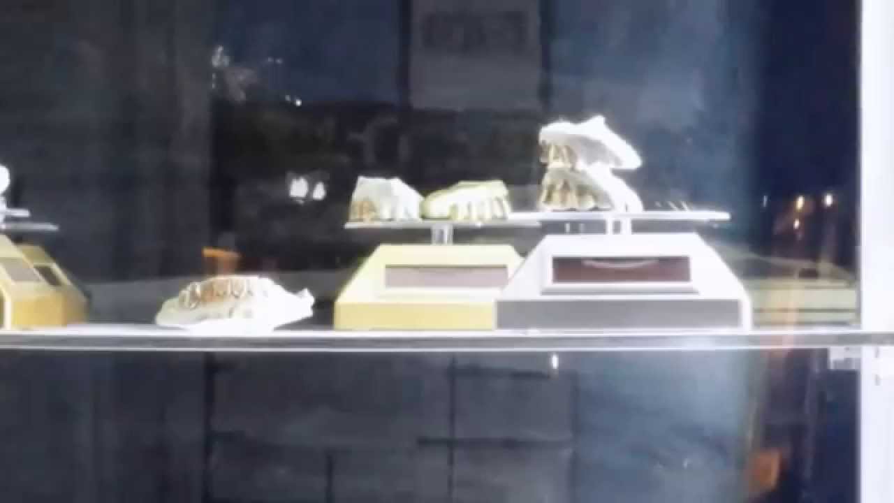 Grillz in Savannah YouTube