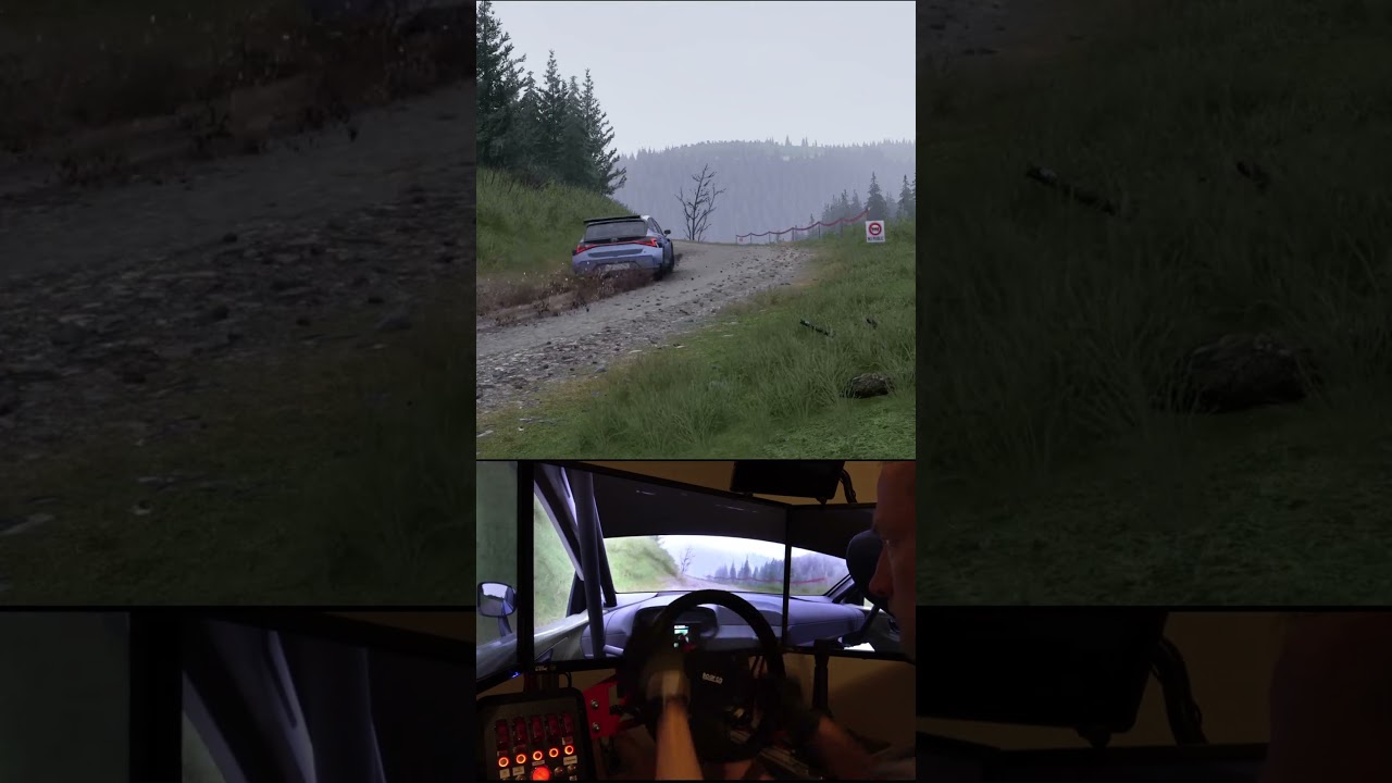 Asseto Corsa Rally - Hyundai i20 Rally2 - Afon Bidno - Severn _ Fly by