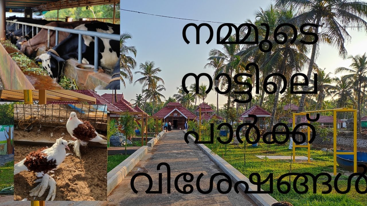 Edachakai farm house 🏡 നമ്മുടെ നാട്ടിലും പാർക്ക്‌ വന്നു 🏖️/ Evenging vlog / @Rizu Jinshad Vlog
