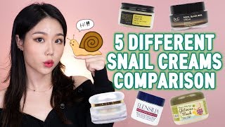 🐌5 different SNAIL CREAMS🐌 comparison review for the cold and dry weather
