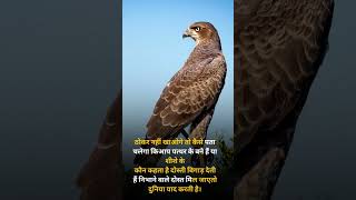 #motivation#motivationalvideos #motivationforlife#motivationstory #motivationdaily#motivationdaily##