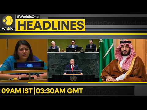 India At UN Calls Out Pak's Duplicity On Terror | Form 47 Govt: India's Scratching Attack On Pak