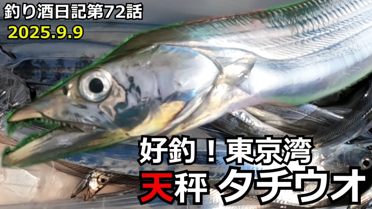 【天秤タチウオ】天秤仕掛けで狙う！楽しすぎる太刀魚釣り＆美味しく頂きます！！