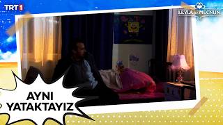 Leyla Ile Aynı Yatakta Yatıyorum - Leyla Ile Mecnun Özel Sahneler