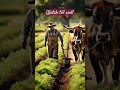 Ox working in the field #viralvideo #movieclip #trending #cute #funny #adorablevideo #youtubeshorts