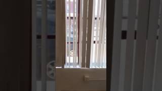 Historic Biggs Apartment 111