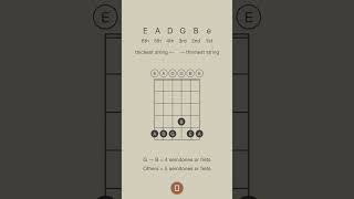 Learn your open strings guys #guitar #learnguitar #musictheory