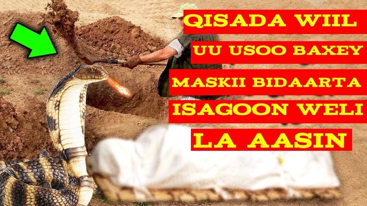 qisada wiilkii markii la doonayey in la aaso uu qabriga uga soo baxey ...