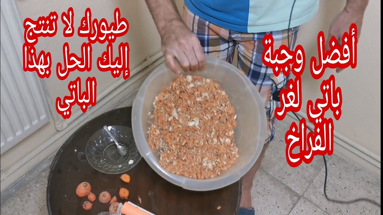 تحضير أقوى وأفضل باتي لطيور الكناري والحسون والبادجي  في المنزل حضره ولا تحرم طيورك