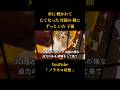 『車に轢かれて 亡くなった母猫の側に ずっといた子猫①【前編】』 #cat #保護猫活動 #保護猫 #子猫保護 #野良猫 #catrescue #rescuecat #ノラネコ屋敷