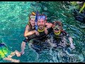 Discovery Cove Orlando Trip 2-20-20 AMAZING FOOTAGE!!