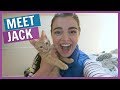 WE ADOPTED A KITTEN!! | LifeWithKimm