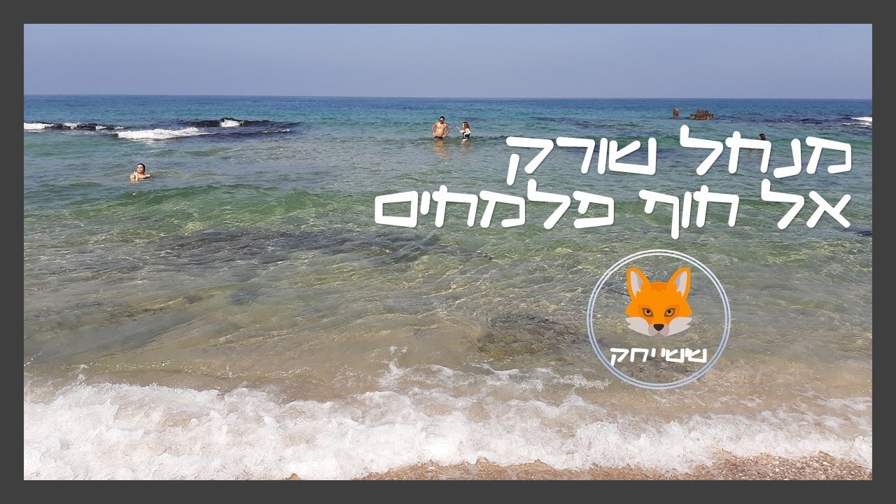 שפך נחל שורק אל חוף פלמחים