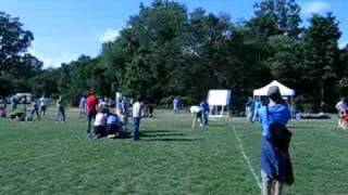 Bat Spin