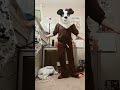 How fast can I crazy feet..? #dance #furry