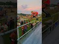 Dive off the grandstands by Facade!