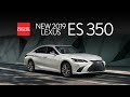 2019 Lexus ES 350 Walkaround at South Bay Lexus near Los Angeles