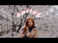 spring things in seoul, korea | rice cooker, cherry blossoms, picnic vlog