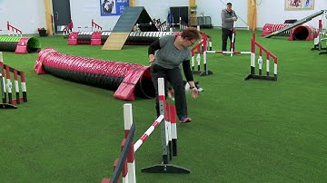 International Agility Training Week - Learn to trust your dog