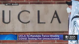 UCLA To Mandate Twice-Weekly COVID Testing For Unvaccinated People