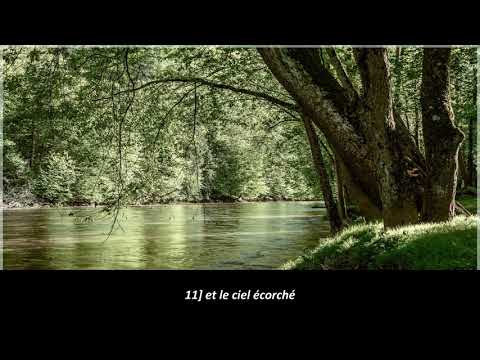 irama ini mudah di hafal untuk baca Surat Al-Kahfi | Shidqi Abu Usamah