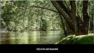 Juz Amma Par Qari Ziyad Patel جزء عم للقارئ زياد بطيل