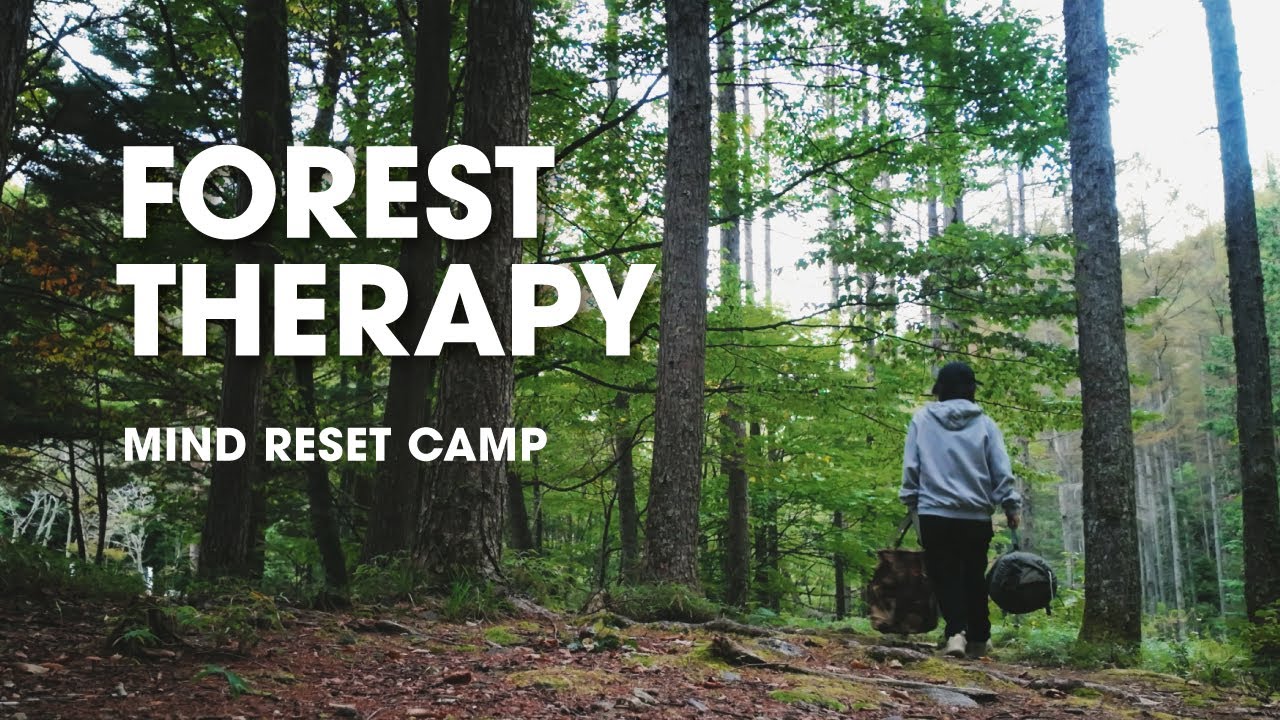 【女子ソロキャンプ】愛犬と二人で森に溶け込む癒しキャンプ｜Forest Solo Camping