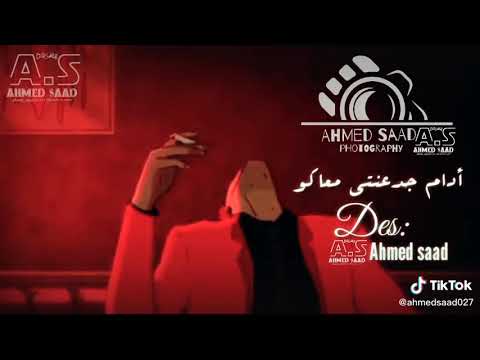 مع السلامه للى عايز يمشي المركب الى تودي ماتر جعشي