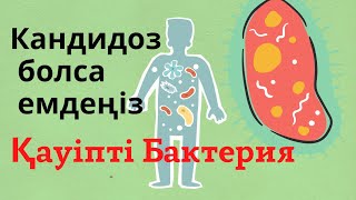 ЕҢ ЖАМАН БАКТЕРИЯ КАНДИДА/КАНДИДОЗ емдеу жолдары