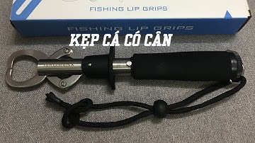 Kẹp gắp cá câu Hirushima kim loại chữ không rỉ