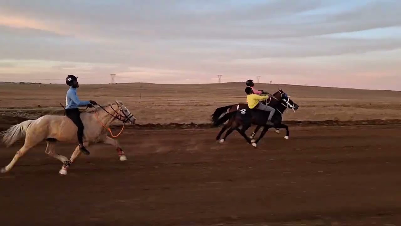 Horse racing Nquthu Grade 1 15 June 2025