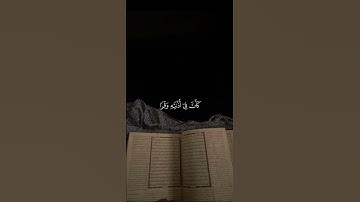 قرآن كريم 🌿 #استغفرالله #قران_كريم #سبحان_الله #لايك #الحمدلله