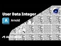 Arnold Tutorial: How to use the user_data_integer shader in C4DtoA