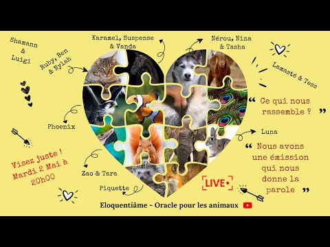 Parole Animale & Guidances - Eloquentiâme - Oracle pour les animaux