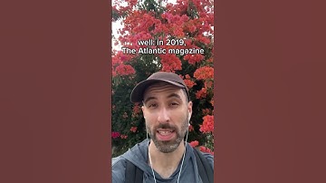 palindromic music genres #wordplay #comedy #music #abba #crosswordshow