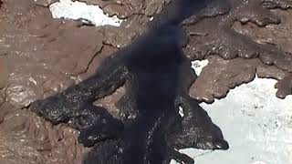 The black lava of Tanzania.