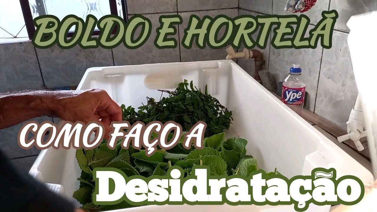 Aprenda a Secar, Desidratar Ervas Aromáticas e Medicinais - Hortelã e boldo
