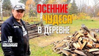 видео: Фантастическая история в деревне!  Теплица «Саморучка»: Честный отзыв через 5 лет. Что сломалось? картинка: Фантастическая история в деревне!  Теплица «Саморучка»: Честный отзыв через 5 лет. Что сломалось?