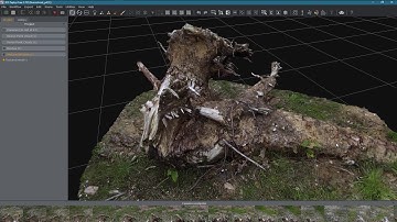 Tree stump photogrammetry