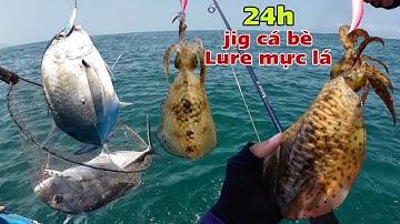 Trải nghiệm 24h câu cá biển, mực lá tại đảo hòn Ông và món cá bè kho ớt siêu ngon