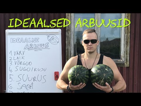 Video: Kuidas Valida Hea Arbuus