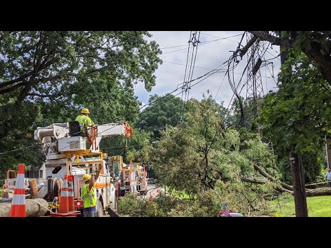 فيديو: لماذا خطوط الكهرباء المسقطة خطيرة؟